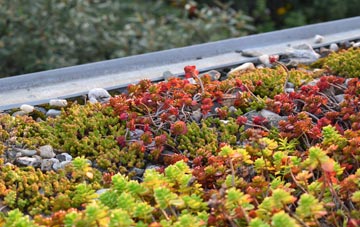 the cost of Llansanffraid Ym Mechain green roof installation
