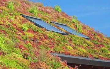 Llansanffraid Ym Mechain living roof systems