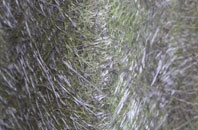 Llansanffraid Ym Mechain fibreglass roof work